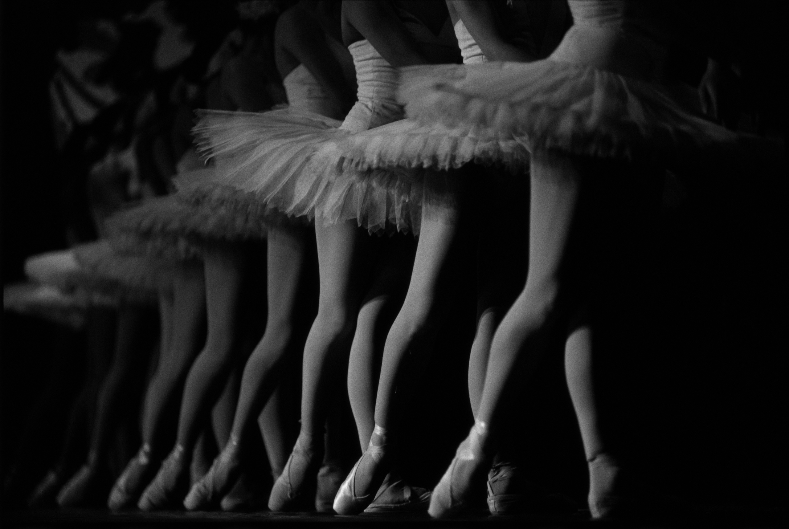 Ballerinas performing