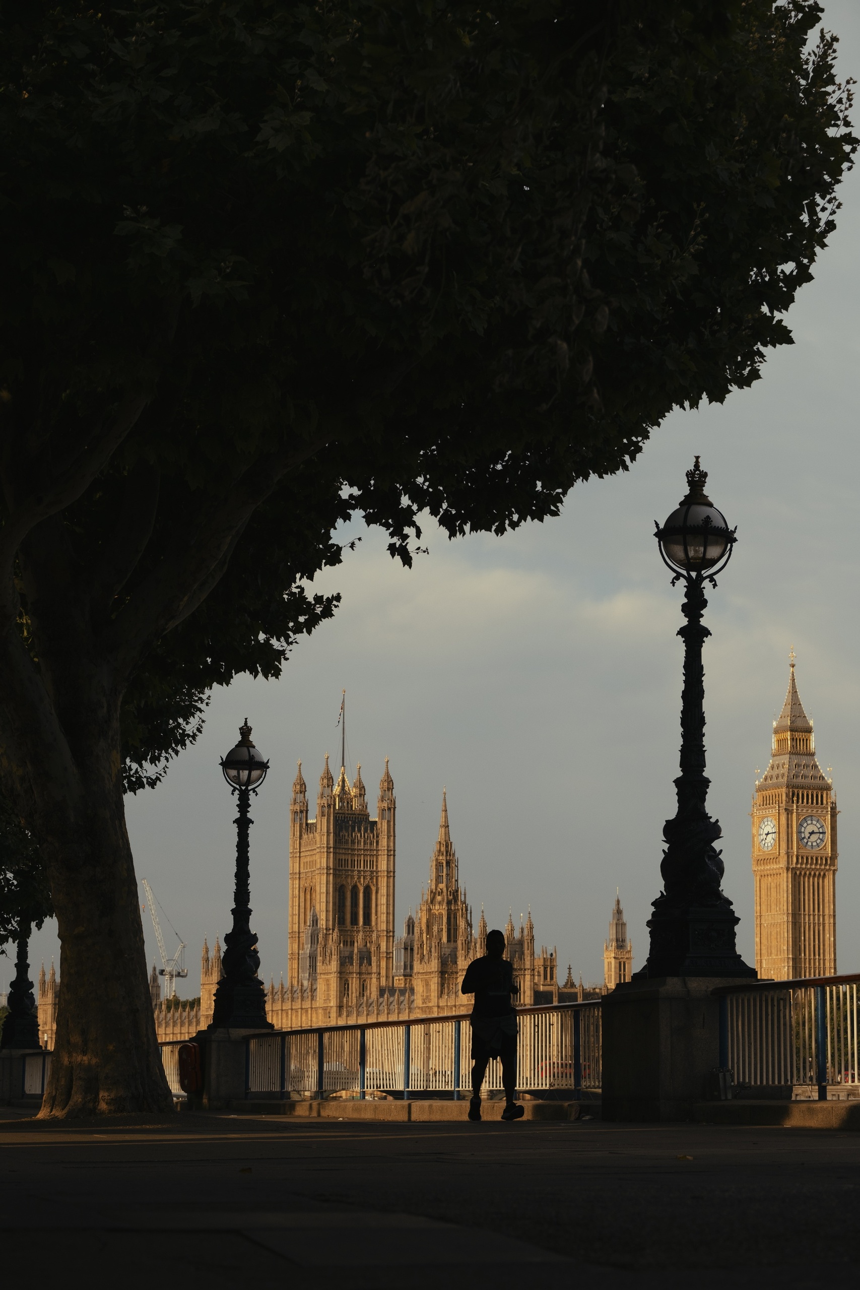The South Bank